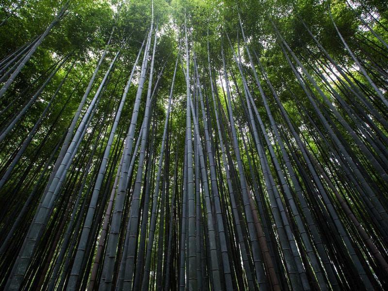 ベーカリー 蛤の風